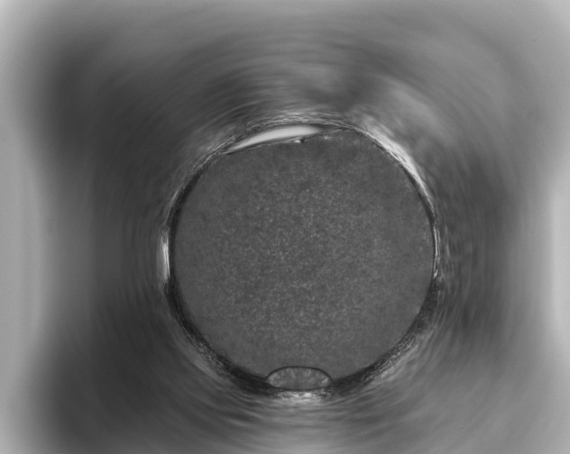 X0000096410061200801311400