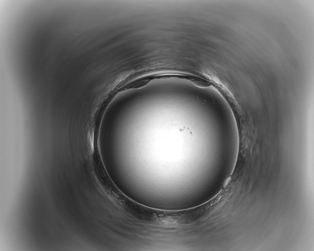 X0000096410062200801311400