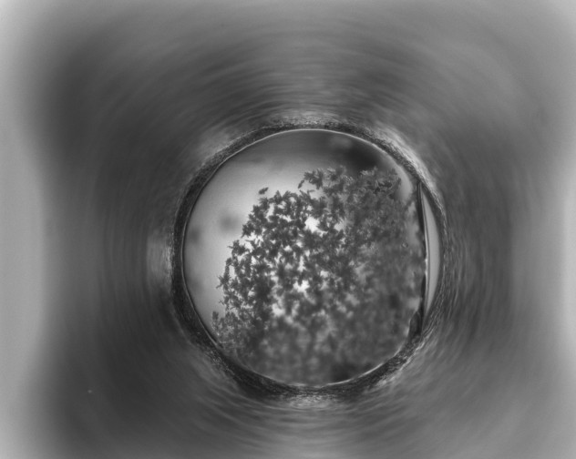 X0000096410063200801311400