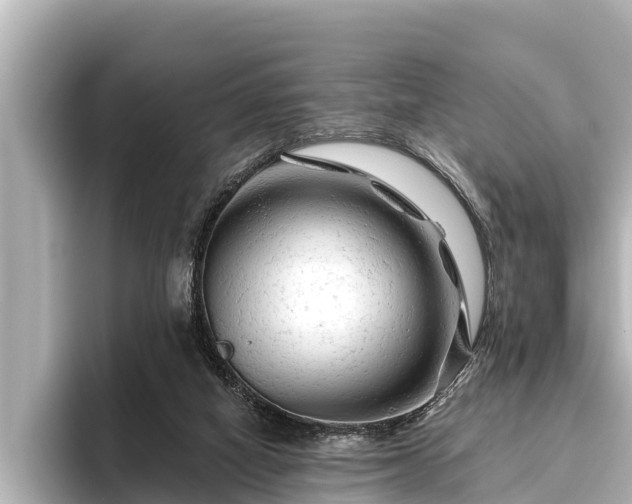 X0000096410066200801311400