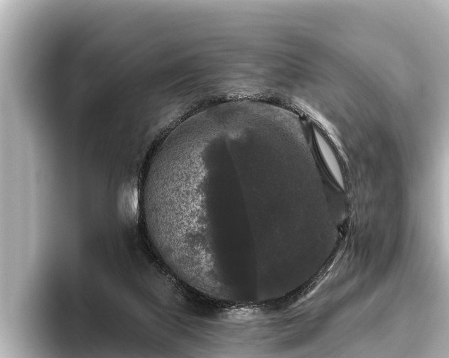 X0000096410067200801311400