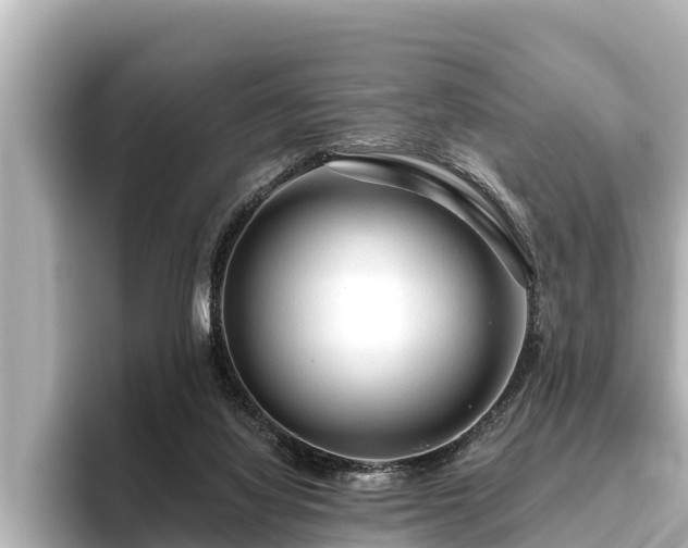 X0000096410068200801311400