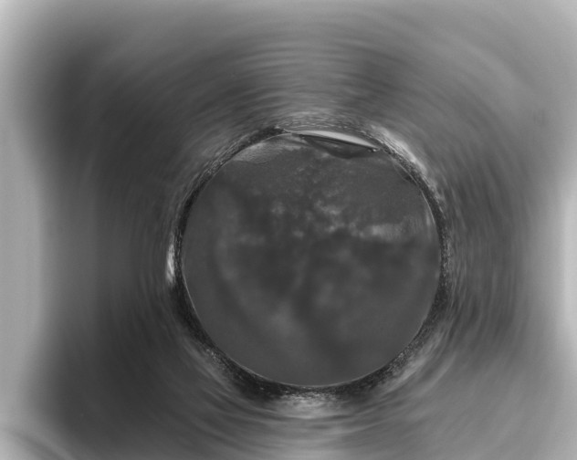 X0000096410069200801311400