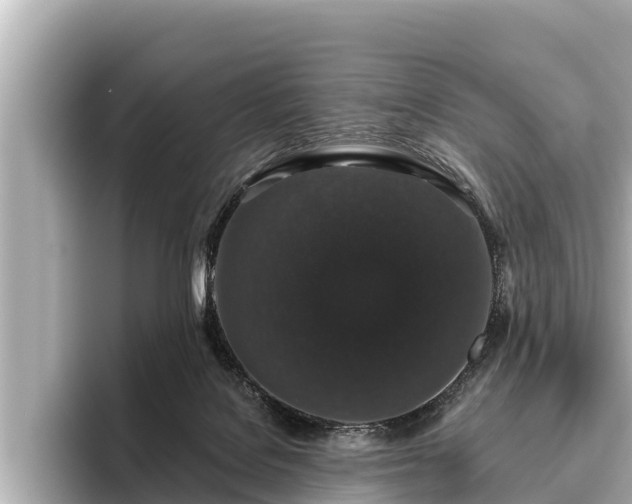 X0000096410076200801311401