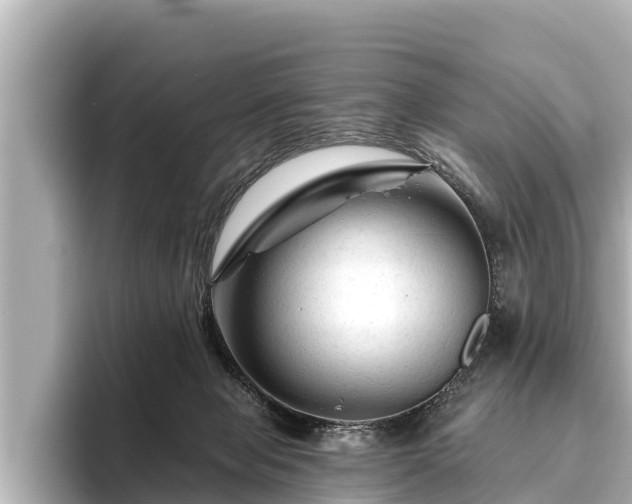X0000096410077200801311401