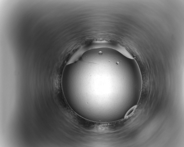 X0000096410078200801311401