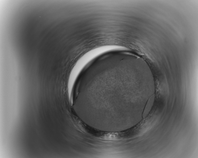 X0000096410080200801311401