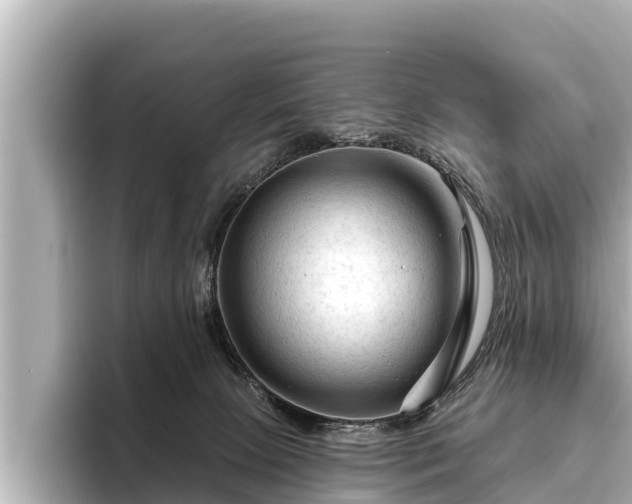 X0000096410081200801311401