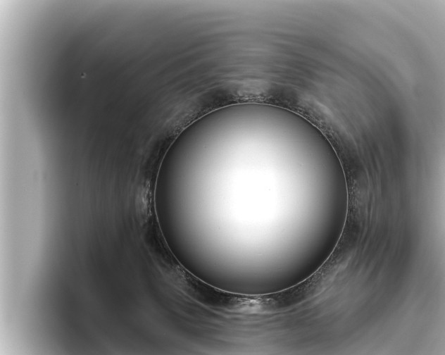 X0000096410083200801311401