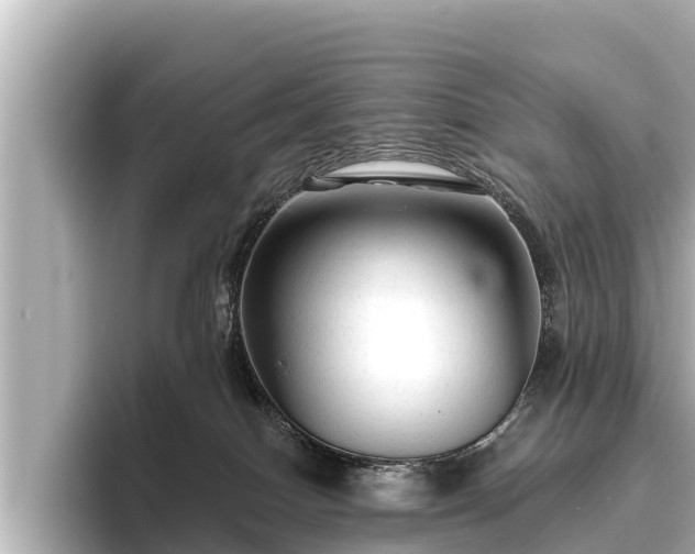 X0000096410086200801311401