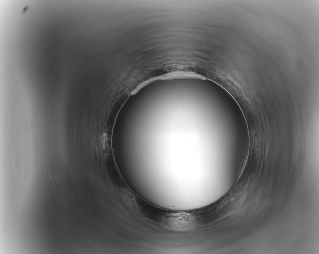 X0000096410087200801311401