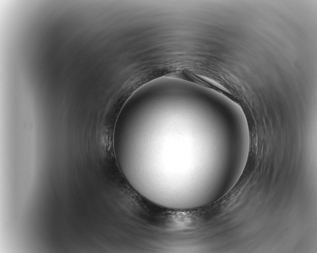 X0000096410091200801311401