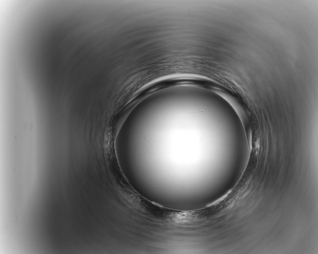 X0000096410092200801311401