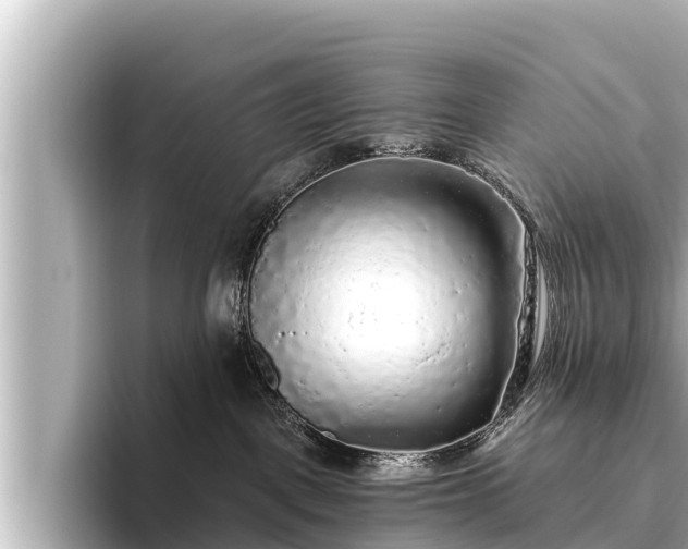 X0000096410093200801311401