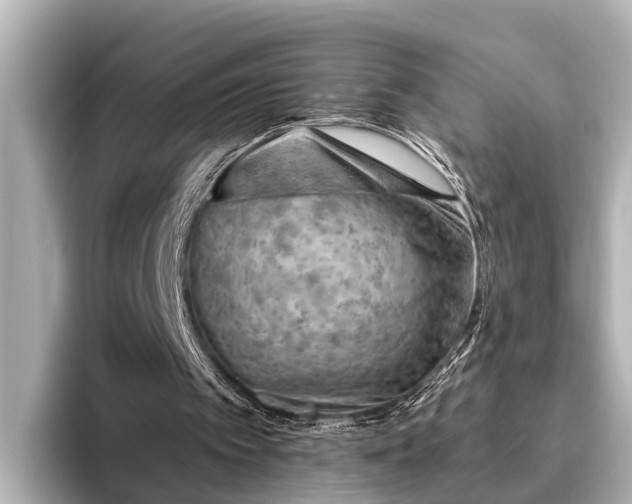 X0000096410097200801311400