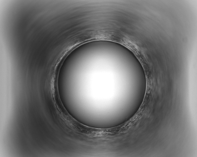 X0000096410098200801311400
