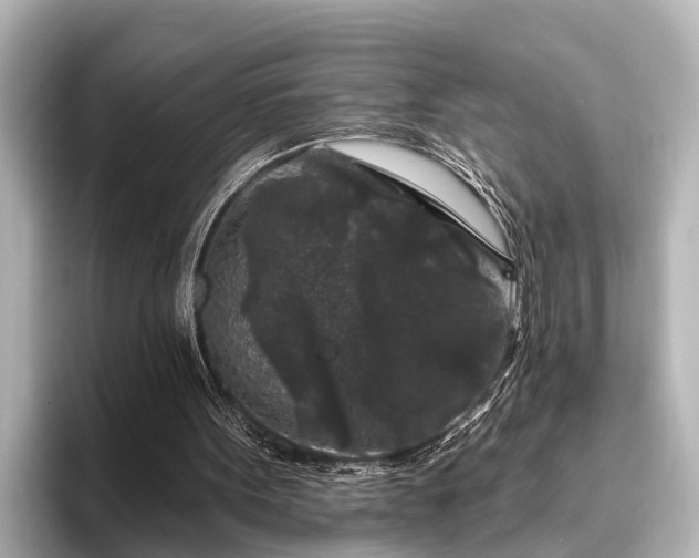 X0000096410099200801311400