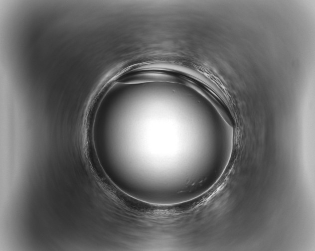 X0000096410101200801311400