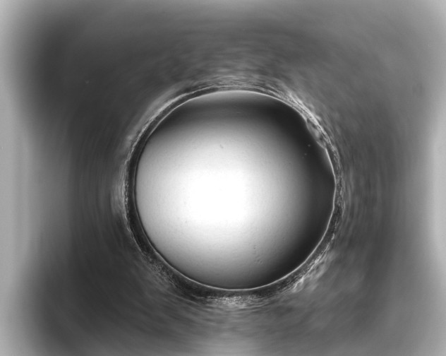 X0000096410103200801311400