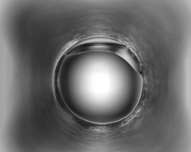 X0000096410104200801311400