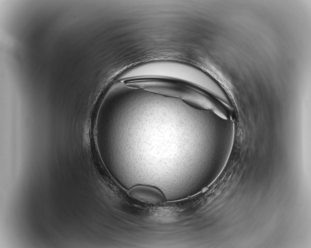 X0000096410107200801311400