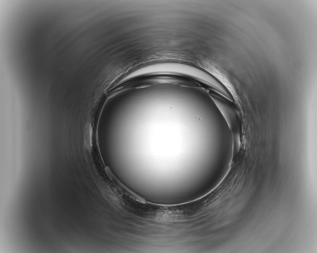 X0000096410109200801311400