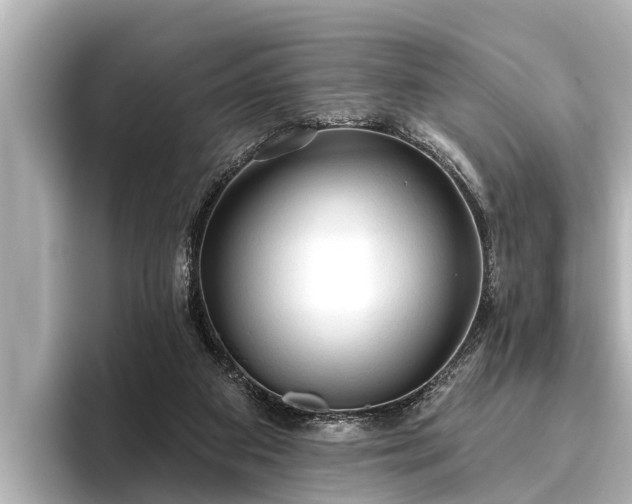 X0000096410113200801311400