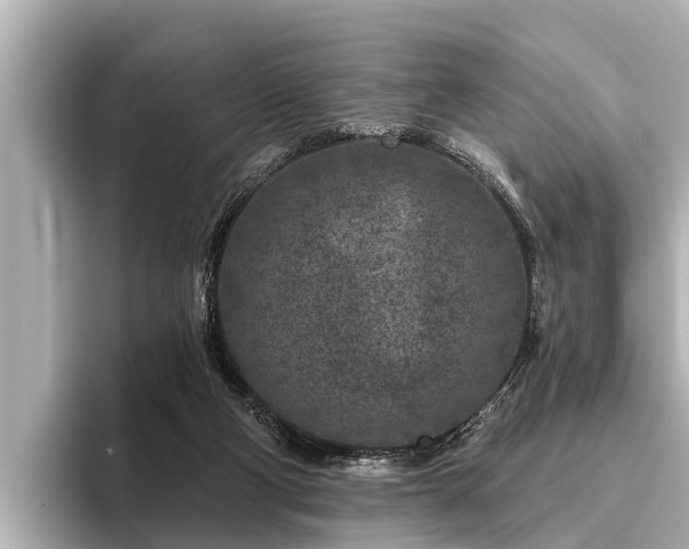 X0000096410114200801311400