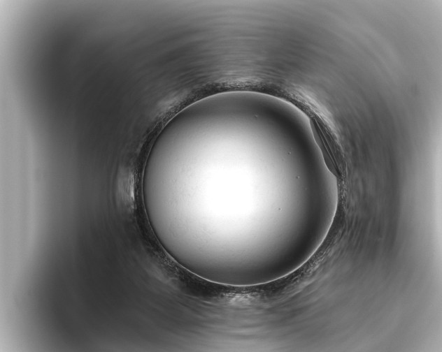 X0000096410115200801311400