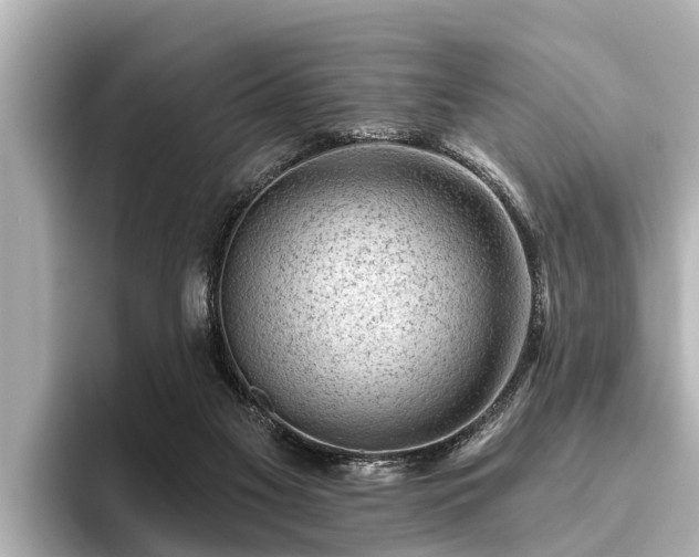 X0000096410117200801311400