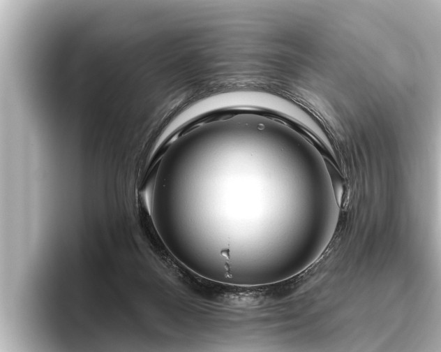 X0000096410120200801311400