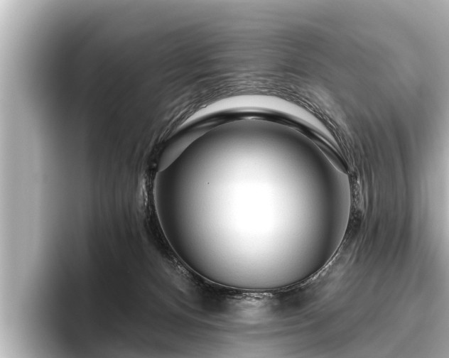 X0000096410128200801311400