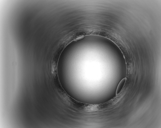 X0000096410138200801311400