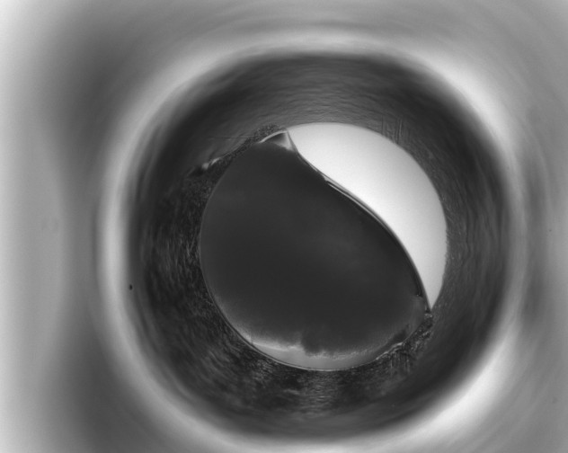 X0000096410143200801311400