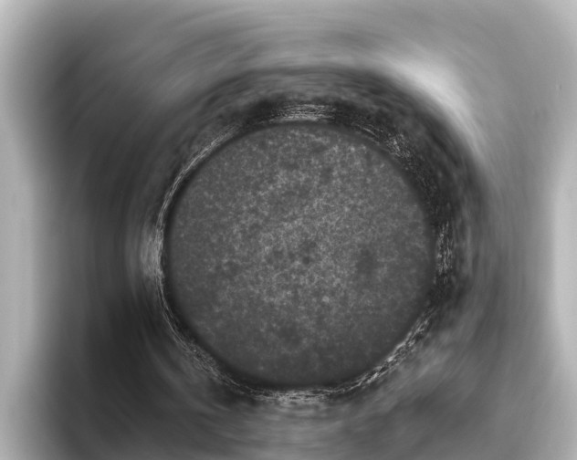 X0000096410146200801311359