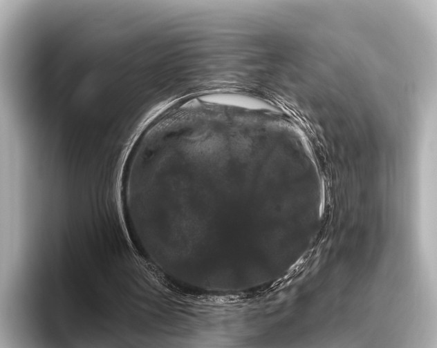 X0000096410147200801311359