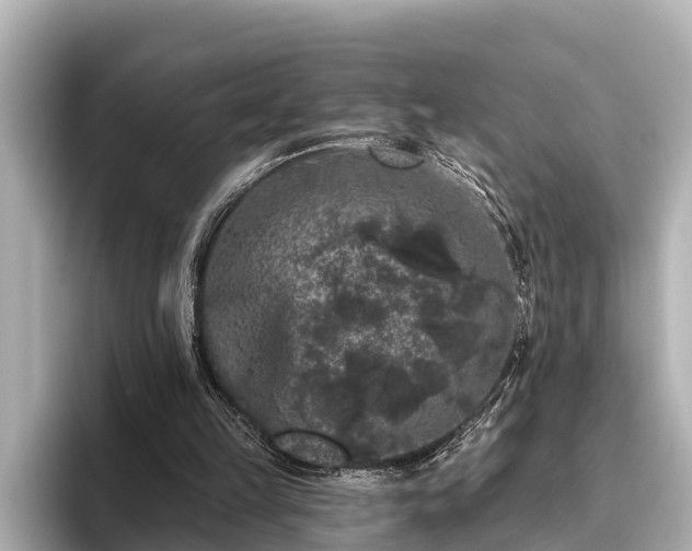 X0000096410149200801311359