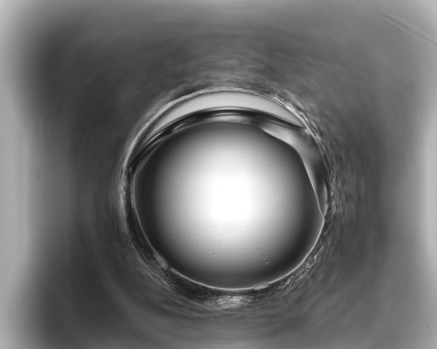 X0000096410152200801311359