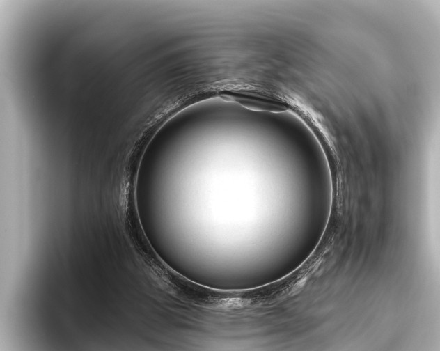 X0000096410153200801311359