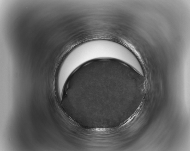 X0000096410154200801311359
