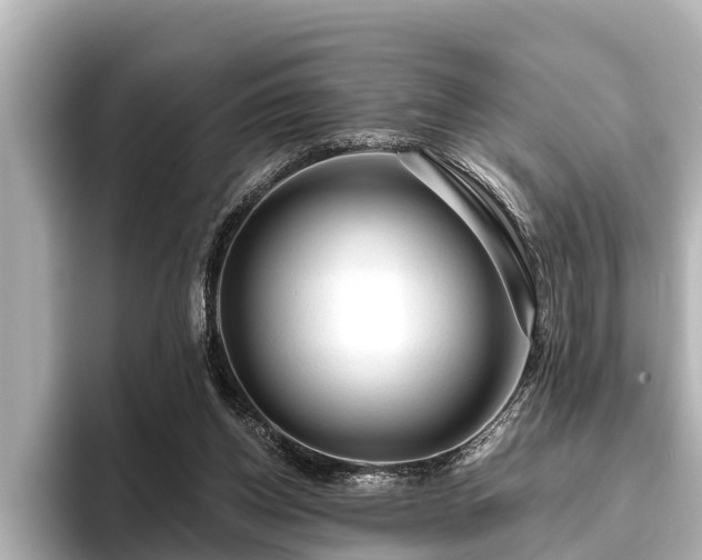 X0000096410158200801311359
