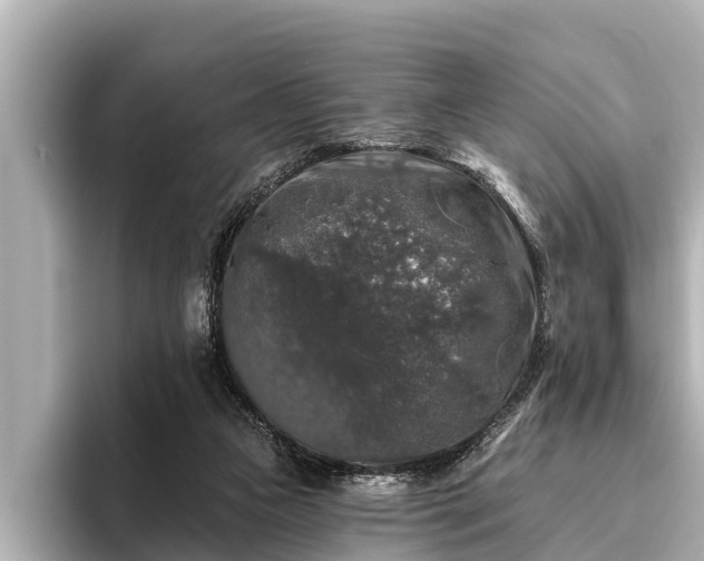 X0000096410161200801311359