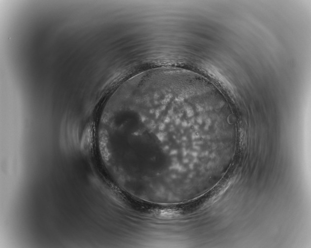X0000096410165200801311359