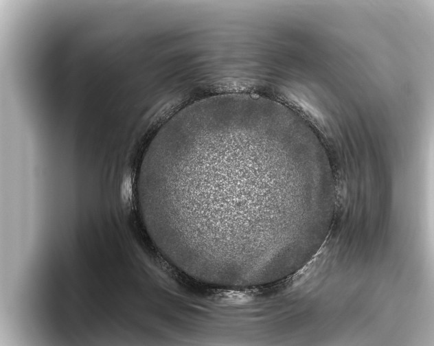 X0000096410166200801311359