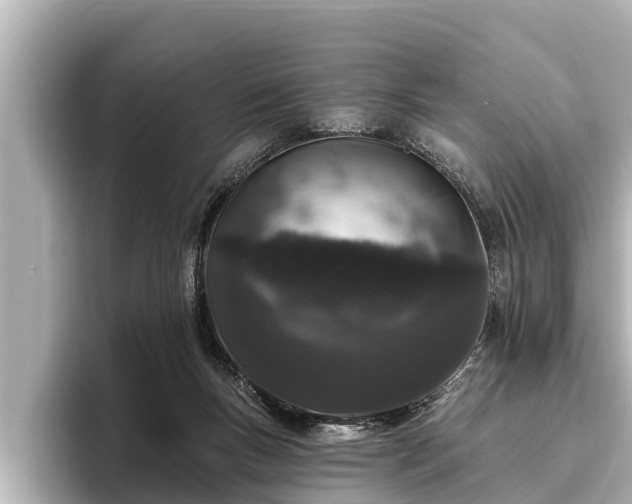 X0000096410167200801311359