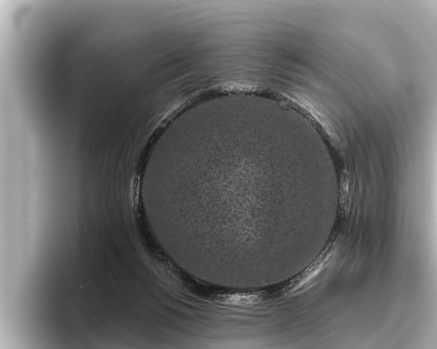 X0000096410168200801311359