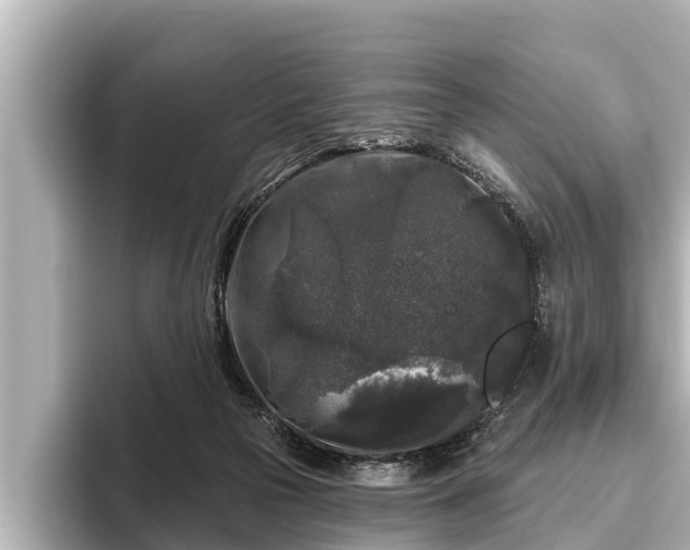 X0000096410169200801311359