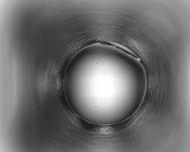 X0000096410173200801311359