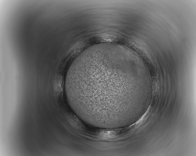 X0000096410174200801311359