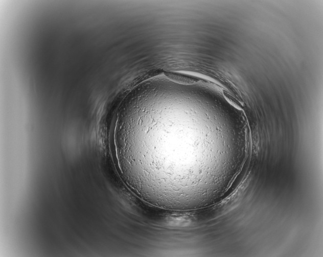 X0000096410175200801311359